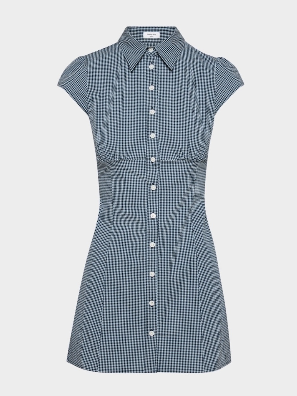 Aritzia “Francoise Dress” - Blue Gingham Button-Front Mini Dress